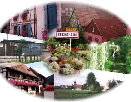 Gite Heinrich Ebersheim エクステリア 写真