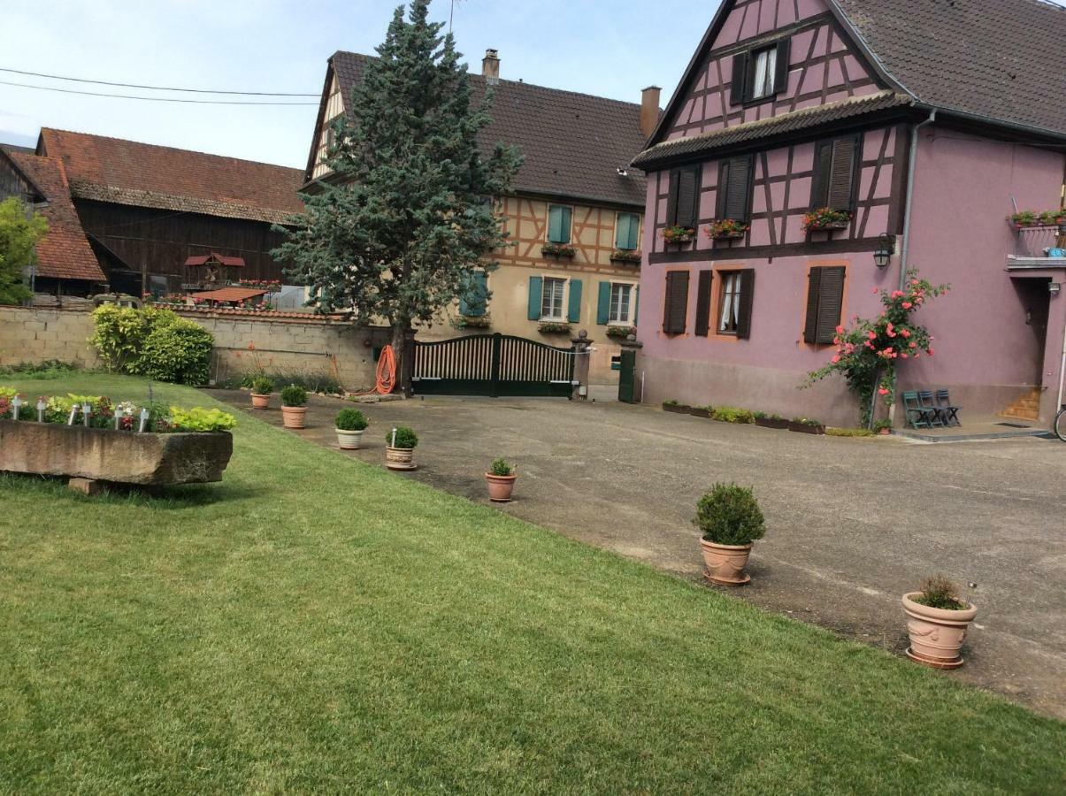 Gite Heinrich Ebersheim エクステリア 写真